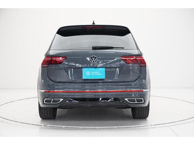 �y�����X�^�C���z���[�t�֌��������C�����i�荞�܂�āA���̉��̃V�����_�[�Z�N�V�������A�N�[�y�̂悤�ɗ͋�������o������ۂł��B