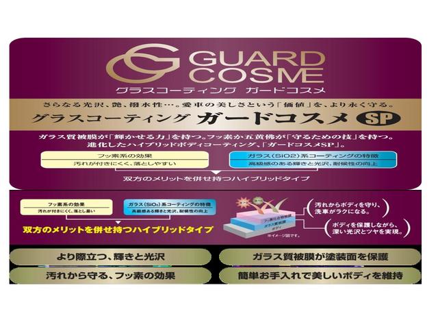 プレミアム アドバンスドパッケージ フルセグ メモリーナビ DVD再生 ミュージックプレイヤー接続可 バックカメラ 衝突被害軽減システム LEDヘッドランプ ワンオーナー 記録簿 アイドリングストップ(41枚目)