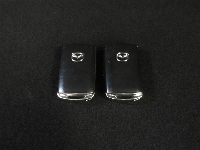 ＣＸ－３０ ２０Ｓ　プロアクティブ　フルセグ　メモリーナビ　ＤＶＤ再生　ミュージックプレイヤー接続可　バックカメラ　衝突被害軽減システム　ＥＴＣ　ドラレコ　ＬＥＤヘッドランプ　記録簿　アイドリングストップ（27枚目）