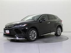 ǥꥹΥե륨Ĥܸḁ̇̄Ūʥܥǥ¸ߴäƤ뤳ȤʬäƤȻפޤ 2