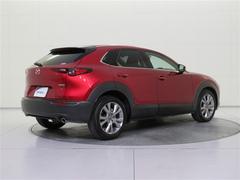 ؤޤ뤴ȥ꡼˥󥰡٥ܥǥϡŴʴפȡ᤭פˡ֥եꥳǥ󥰡פܹ 5