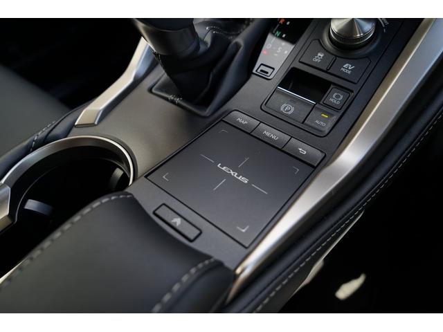 NX300h バージョンL ムーンルーフ モデリスタエアロ(20枚目)