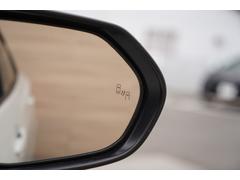 ֥饤ɥݥåȥ˥ξθ¦ˤѤ֤Τɥߥ顼Υޡ󲻤ǴΤ餻Ƥޤ 4