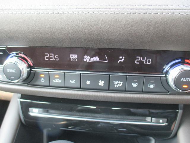 25S Lパッケージ(19枚目)