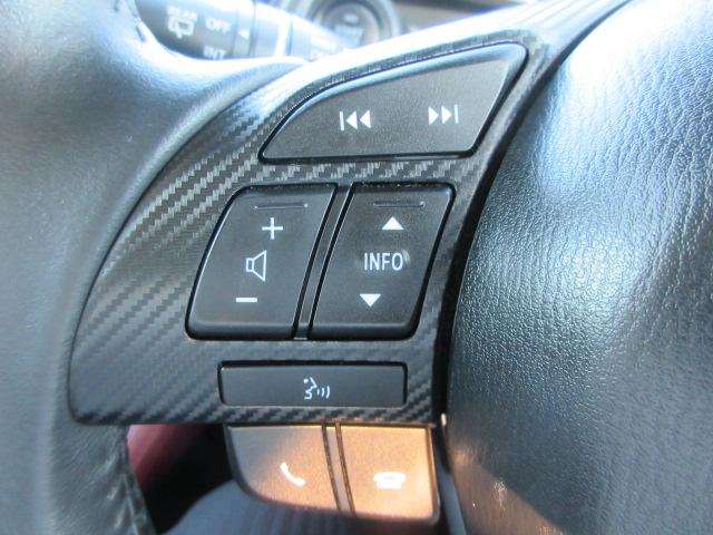 ＣＸ－３ ４ＷＤ　ＸＤ　ツーリング　Ｌパッケージ　全方位モニター　ＥＴＣ　ＣＤ　ＤＶＤ　ナビ　ＴＶ　アルミホイール　シートヒーター　スマートキー　パドルシフト　ドアバイザー　ウィンカー付きドアミラー　クルーズコントロール　プッシュスタートシステム（33枚目）