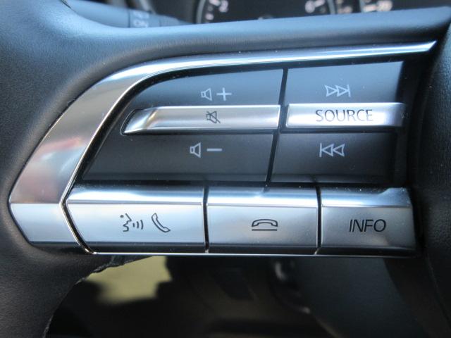 ＣＸ－３０ ２０Ｓ　プロアクティブ　ツーリングセレクション　全方位モニター　ＥＴＣ　ＣＤ・ＤＶＤ　ナビ　ＴＶ　ドライブレコーダー　アルミホイール　シートヒーター　スマートキー　ドアバイザー　ウィンカー付ドアミラー　クルーズコントロール　ステアリングヒーター（34枚目）