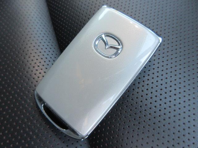 ＣＸ－３０ ２０Ｓ　プロアクティブ　ツーリングセレクション　全方位モニター　ＥＴＣ　ＣＤ・ＤＶＤ　ナビ　ＴＶ　ドライブレコーダー　アルミホイール　シートヒーター　スマートキー　ドアバイザー　ウィンカー付ドアミラー　クルーズコントロール　ステアリングヒーター（67枚目）