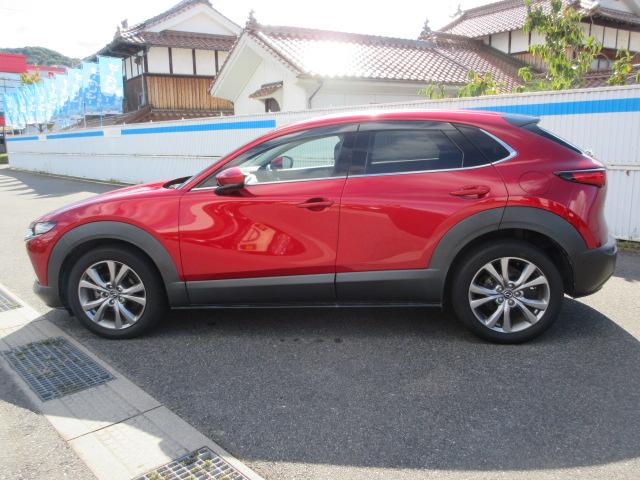 ＣＸ－３０ ２０Ｓ　プロアクティブ　ツーリングセレクション　全方位モニター　ＣＤ・ＤＶＤ　ＴＶ　ドライブレコーダー　アルミホイール　電動パワーシート　シートヒーター　スマートキー　パドルシフト　ドアバイザー　ウィンカー付ドアミラー　クルーズコントロール（13枚目）