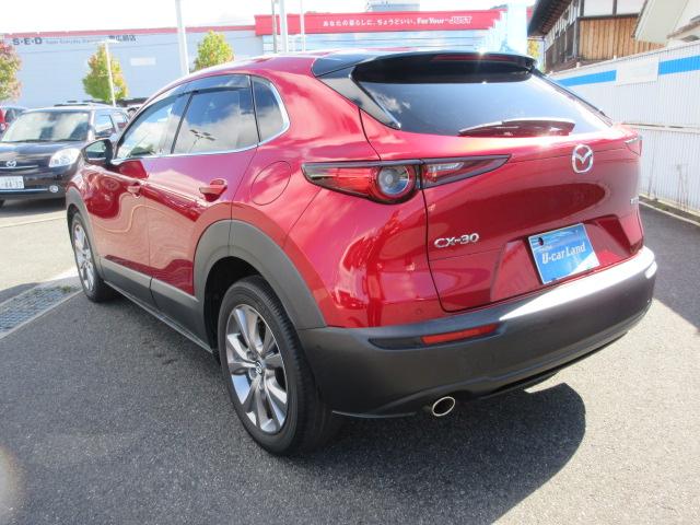 ＣＸ－３０ ２０Ｓ　プロアクティブ　ツーリングセレクション　全方位モニター　ＣＤ・ＤＶＤ　ＴＶ　ドライブレコーダー　アルミホイール　電動パワーシート　シートヒーター　スマートキー　パドルシフト　ドアバイザー　ウィンカー付ドアミラー　クルーズコントロール（15枚目）
