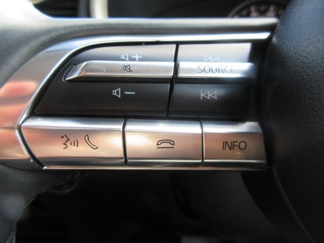 ＣＸ－３０ ２０Ｓ　プロアクティブ　ツーリングセレクション　全方位モニター　ＣＤ・ＤＶＤ　ＴＶ　ドライブレコーダー　アルミホイール　電動パワーシート　シートヒーター　スマートキー　パドルシフト　ドアバイザー　ウィンカー付ドアミラー　クルーズコントロール（37枚目）