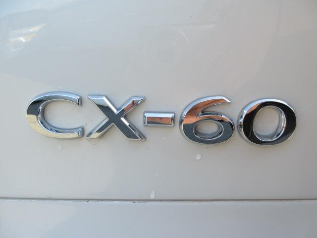 ＣＸ－６０ ＸＤ　ＳＰ　全方位モニター　ＥＴＣ　ナビ　ＴＶ　アルミホイール　電動パーキング　電動パワーシート　シートヒーター　スマートキー　パドルシフト　ウィンカー付ドアミラー　クルーズコントロール　ステアリングヒーター（20枚目）