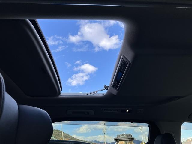 アルファード 2.5S Cパッケージ サンルーフ バックカメラ 衝突被害軽減システム ETC 両側電動スライド LEDヘッドランプ 乗車定員7人 3列シート ワンオーナー 記録簿(16枚目)