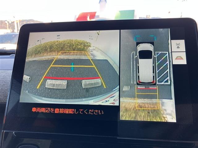 �o�b�N���j�^�[�A�p�m���~�b�N�r���[���j�^�[���ڎԁI�ڎ����Â炢�N���}�̎��͂������ƌ��n���A��������m�F���ł��܂��B