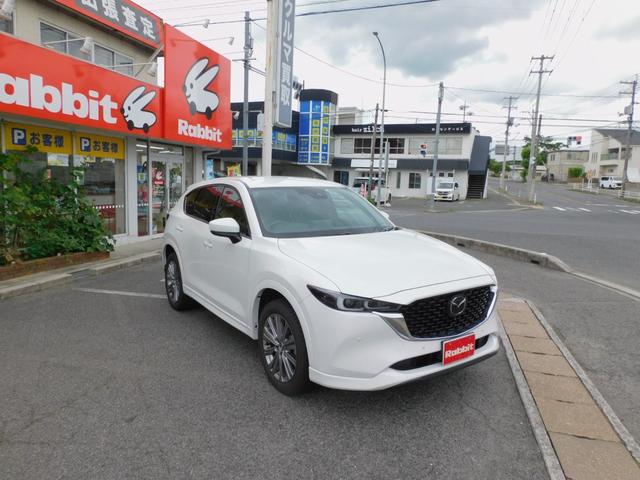 ＣＸ－５ ２５Ｓ　エクスクルーシブモード　ディスプレイオーディオ／フルセグ／Ｂカメラ／３６０°カメラ／レーダーブレーキ／レーダークルーズ／純正１９ＡＷ／ＨＵＤ／ドラレコ／ＢＳＭ／ブラウンレザー（11枚目）