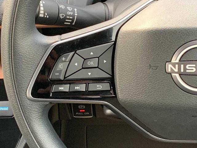 サクラ Ｇ（12枚目）