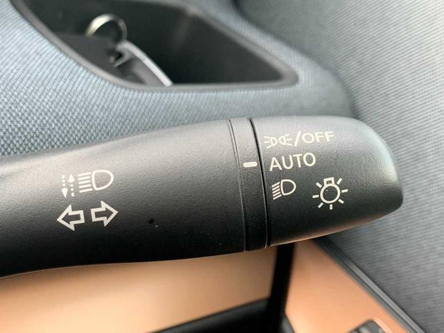 サクラ Ｇ（21枚目）