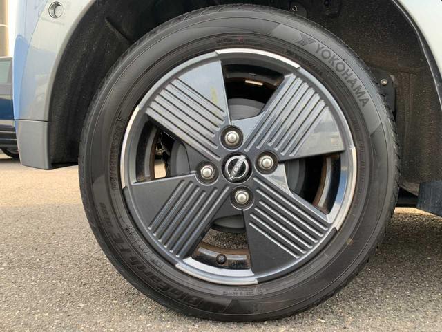 サクラ Ｇ（42枚目）