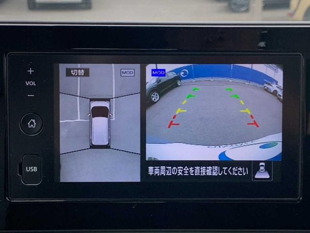 サクラ Ｘ（7枚目）