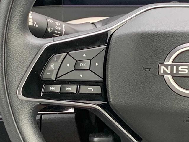 サクラ Ｘ（12枚目）