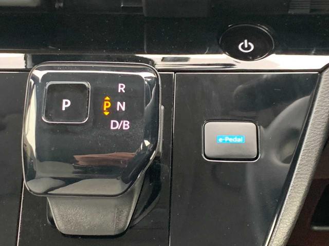 サクラ Ｘ（16枚目）