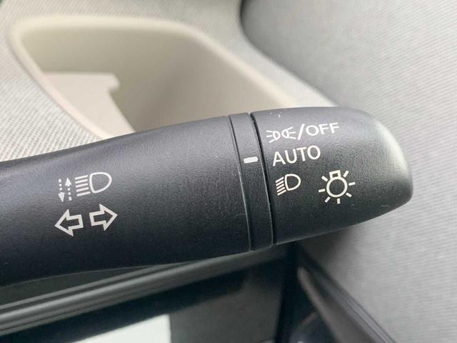 サクラ Ｘ（19枚目）