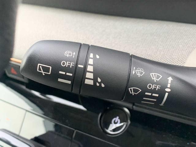 サクラ Ｘ（20枚目）