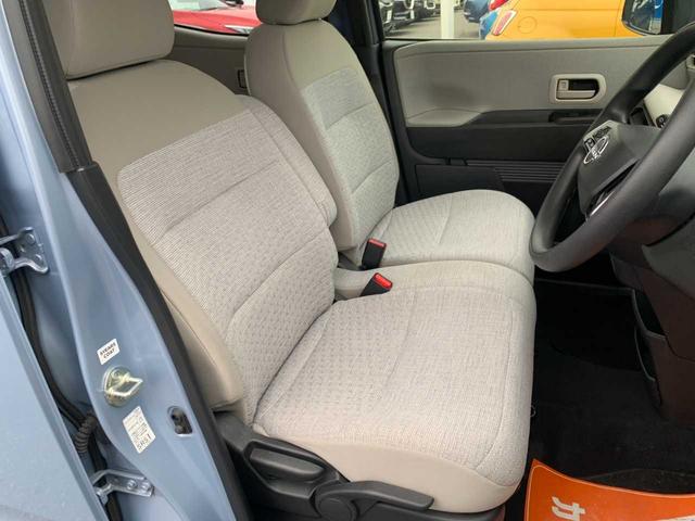 サクラ Ｘ（38枚目）