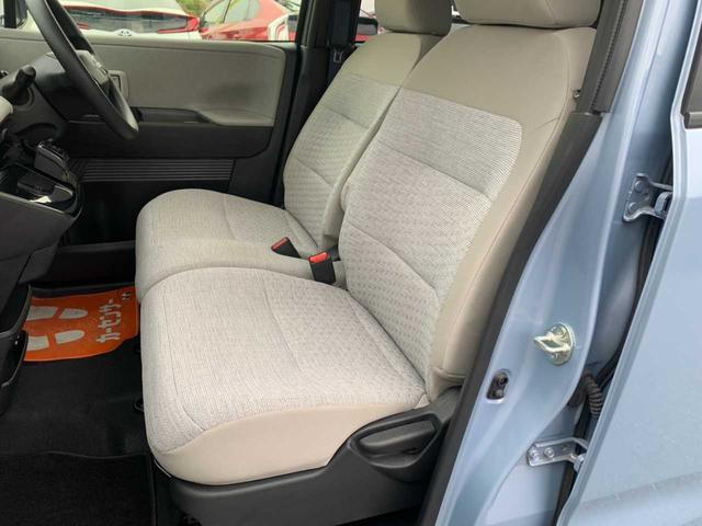 サクラ Ｘ（41枚目）