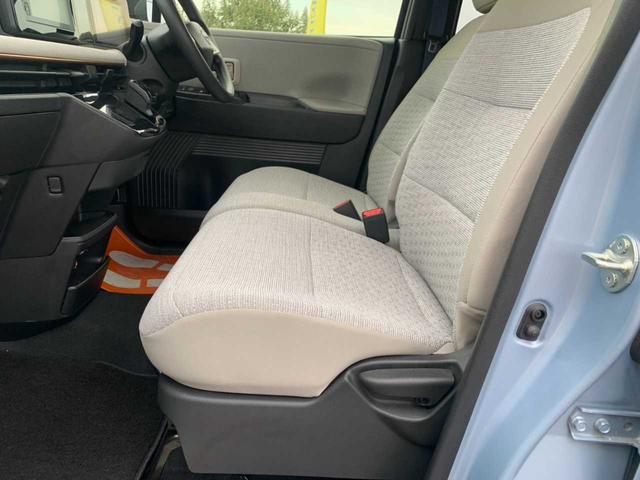 サクラ Ｘ（42枚目）