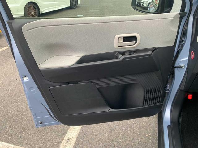 サクラ Ｘ（43枚目）