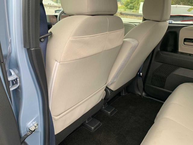 サクラ Ｘ（45枚目）