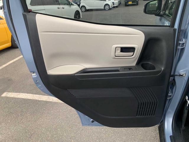 サクラ Ｘ（46枚目）