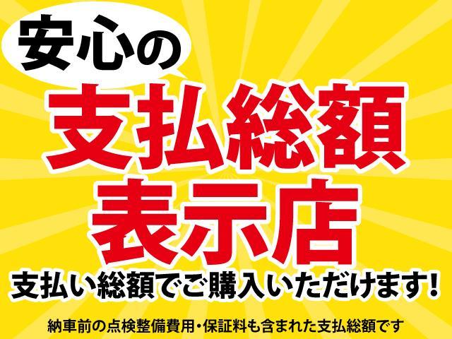 Xセレクション 社外メモリーナビ ワンセグTV シートヒータ(11枚目)
