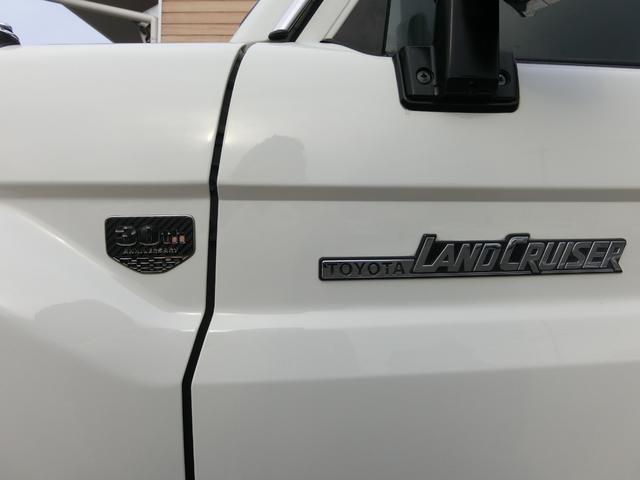 ランドクルーザー７０ バン　４ＷＤ　５ＭＴ　３０ＴＨアニバーサリー　ＢＦＧｏｏｄｉｃｈホワイトレター　リアベッドキット　前後ドライブレコーダー　ＥＴＣ　バックカメラ　シートカバー　純正フルセグナビ　キーレス　禁煙　記録簿（46枚目）