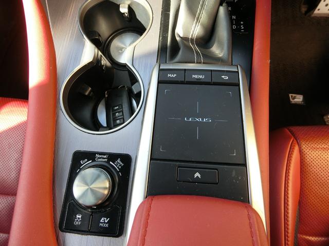 ＲＸ ＲＸ４５０ｈ　Ｆスポーツ　フルタイム４ＷＤ　サンルーフ　アラウンドビューモニター　レーダークルーズ　純正２０インチＡＷ　ＨＵＤ　ＢＳＭ　シートヒーター　シートエアコン　レザーシート　パワーシート　電動リアゲート　禁煙　記録簿（38枚目）