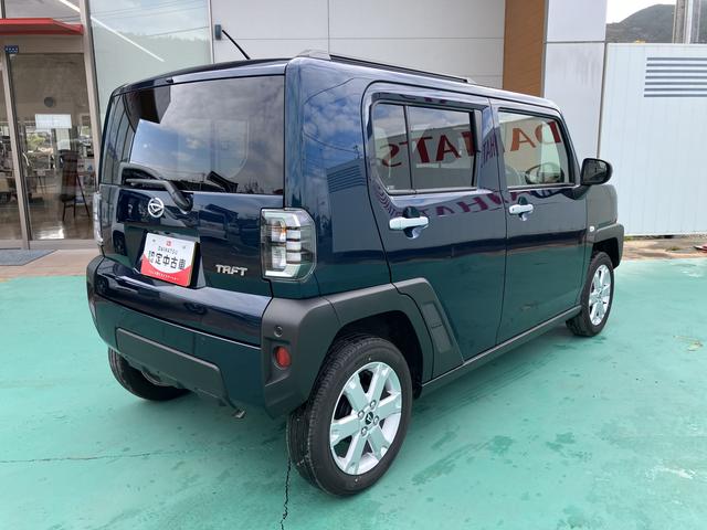 タフト G(12枚目)