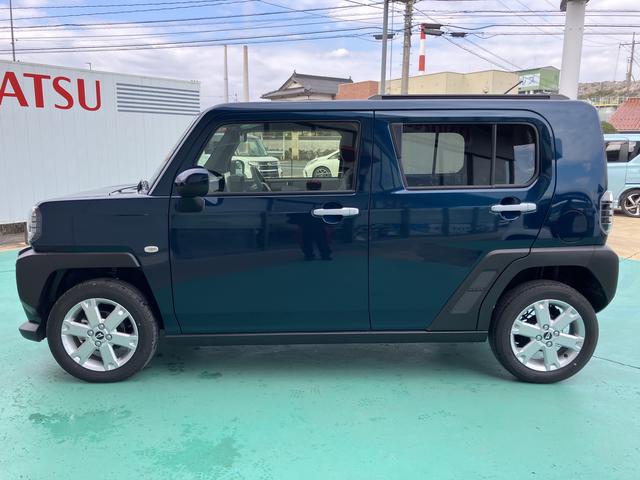 タフト G(15枚目)