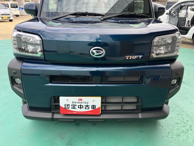 タフト G(16枚目)