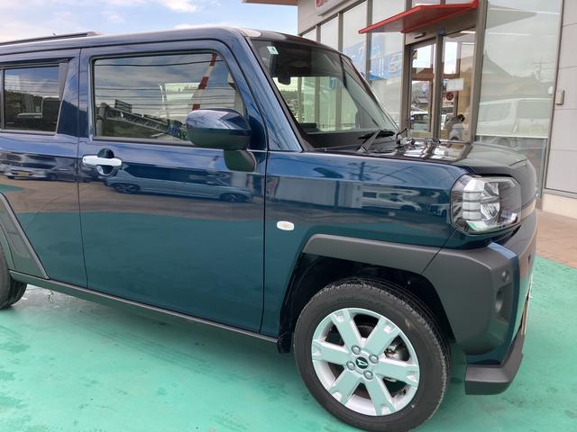 タフト G(17枚目)