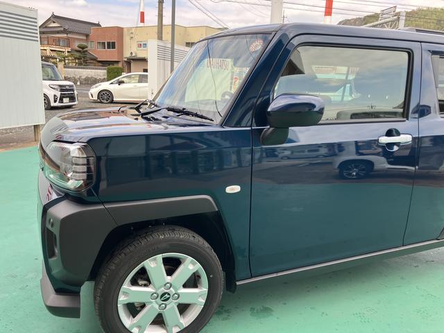 タフト G(18枚目)