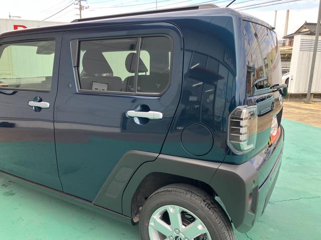 タフト G(19枚目)