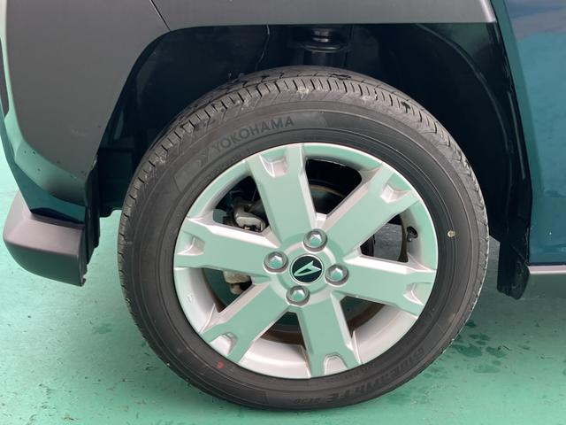 タフト G(23枚目)