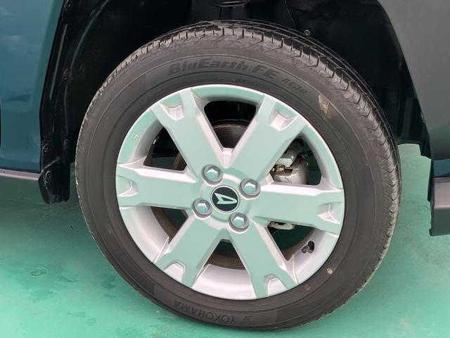 タフト G(25枚目)