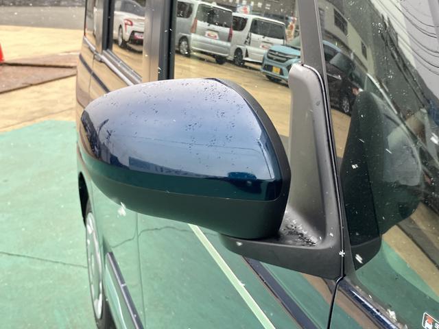 ムーヴキャンバス セオリーＧ（17枚目）