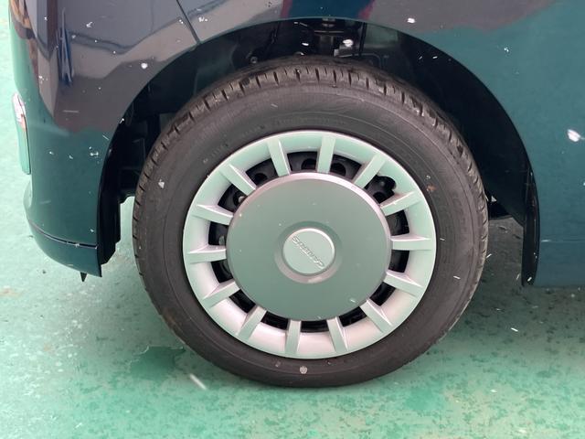 ムーヴキャンバス セオリーＧ（19枚目）