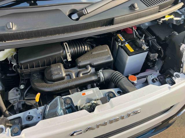 ムーヴキャンバス ストライプスＧ（10枚目）