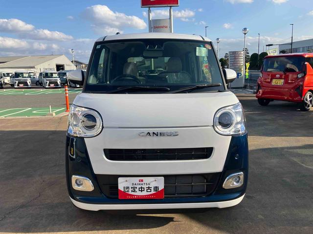 ムーヴキャンバス ストライプスＧ（2枚目）