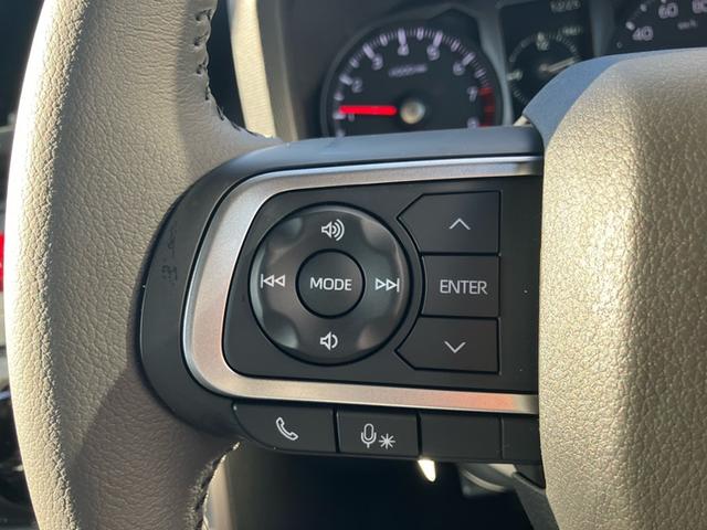 タフト Ｇ　ダーククロムベンチャー（28枚目）