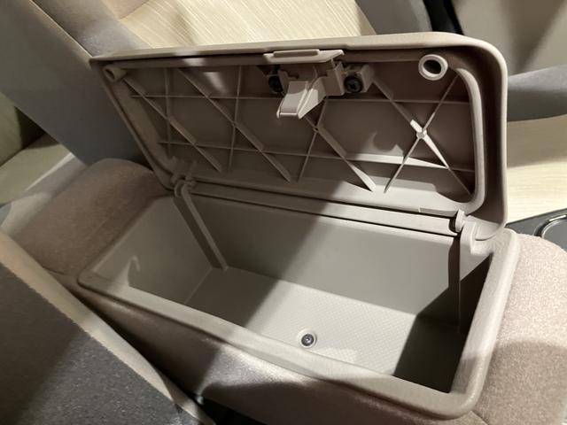 キャスト スタイルＧ　ＳＡＩＩ　衝突回避ブレーキ　ブルートゥースオーディオ　リアカメラ　スマートキープッシュスタート　ＵＳＢ入力　車線逸脱警報装置　禁煙　ワンオーナー車　キーフリー　アルミホイール　ＡＢＳ　記録簿有り　ＮＡＶＩ（28枚目）