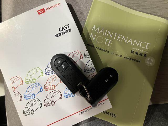 キャスト スタイルＧ　ＳＡＩＩ　衝突回避ブレーキ　ブルートゥースオーディオ　リアカメラ　スマートキープッシュスタート　ＵＳＢ入力　車線逸脱警報装置　禁煙　ワンオーナー車　キーフリー　アルミホイール　ＡＢＳ　記録簿有り　ＮＡＶＩ（41枚目）